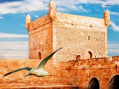 Beautiful View of Blue fishing in Essaouira…