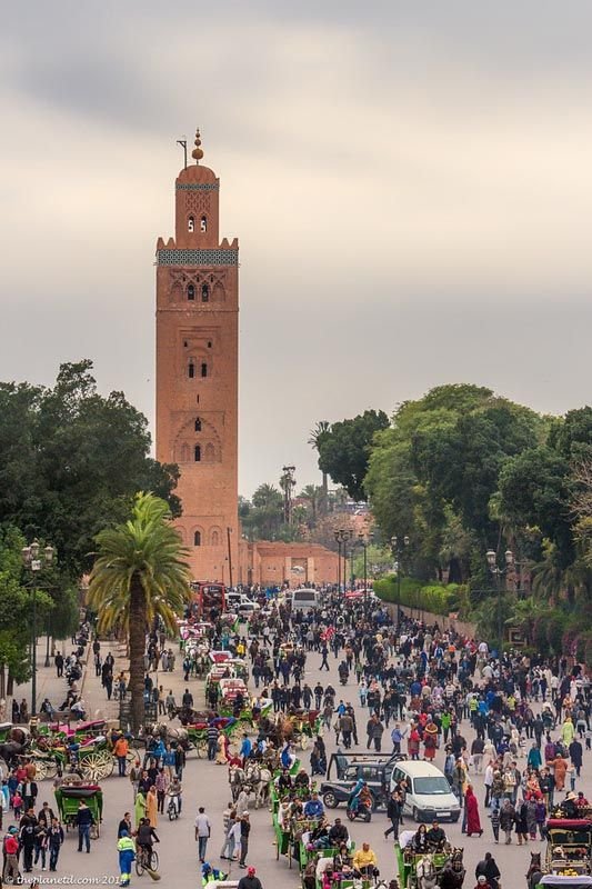 Guide In Marrakech